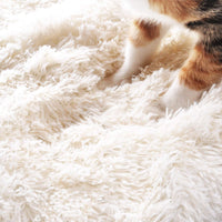 Alfombra/cama peluda para mascotas 4Claws (convertible) - BESTMASCOTA.COM