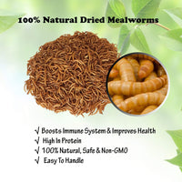 Amzey Dried Mealworms 11 LBS - 100% Natural for Chicken Feed, Bird Food, Fish Food, Turtle Food, Duck Food, Reptile Food, Non-GMO, No Preservatives, High Protein and Nutrition - BESTMASCOTA.COM
