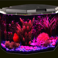 KollerCraft, juego para acuario de 6.5 galones con filtro interior e iluminación LED - BESTMASCOTA.COM