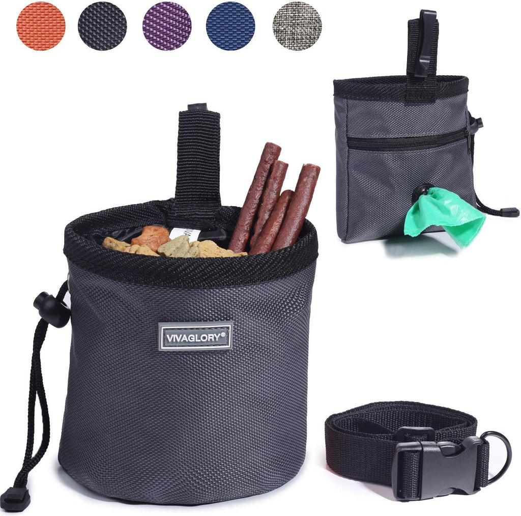 Vivaglory - Bolsa de regalo para perros con manos libres y cintura ajustable y dispensador de bolsas de residuos para perros, 2 maneras de llevar - BESTMASCOTA.COM