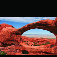 Reptil Habitat fondo, Big arco, 24" x 36", con cuadrados adhesivos - BESTMASCOTA.COM