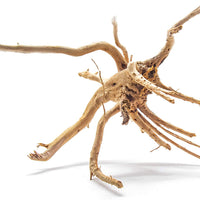 Artes Acuático 1 pieza pequeña de madera Aka Azalea Acuario Natural Driftwood de araña, 6 – 9" - BESTMASCOTA.COM