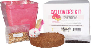 Amante de los gatos de Kit, catgrass semillas, semilla de catnip, de fibra de coco, con bono juguete de gato - BESTMASCOTA.COM