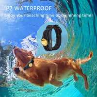 Peteme Dog Training Shock Collar Rechargeable with Beep/Vibra/Electric Shock,100% Waterproof, 1200 ft Remote Trainer Range Collar for Small Medium Large Dogs. - BESTMASCOTA.COM