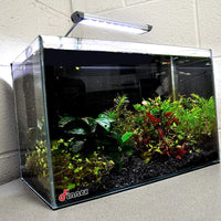 Luz LED para acuario Finnex Fugeray Planted+ más luz de luna, broche de luz - BESTMASCOTA.COM