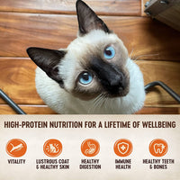 Wellness CORE Hearty Cuts Grain Free Wet Cat Food, Shredded Cat Food in Gravy, High Protein, Natural, Adult, 5.5 Ounce Can (Pack of 24), No Meat By-Products, Fillers, Artificial Preservatives, Flavors