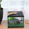 Glass Tank Spider Box Kit for Tarantula Feeder Insects Beetle Amphibians Terrarium Small pet,Washable mat,Resin Rock Shape Hideout, Artificial Flower - BESTMASCOTA.COM