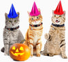 Frienda - 4 collares para gatos de Halloween, ajustables con campana, incluye patrones de calabaza fantasma para Halloween, fiestas, gatos, accesorios de aseo - BESTMASCOTA.COM