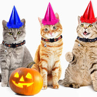 Frienda - 4 collares para gatos de Halloween, ajustables con campana, incluye patrones de calabaza fantasma para Halloween, fiestas, gatos, accesorios de aseo - BESTMASCOTA.COM