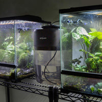 REPTI ZOO 10L Reptile Mister Fogger Terrarios Humidificador Bomba Silenciosa de Extrema Alta Presión Niebla de la Máquina de Niebla Sistema de Rociador Rainforest Tanque con 4 Boquillas para una variedad de Reptiles/Anfibios - BESTMASCOTA.COM