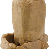 Exo Terra pozo de agua para reptiles. - BESTMASCOTA.COM