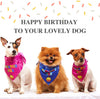 Odi Style Dog Bandana for Dog Birthday Party - Dog Birthday Bandana for Small, Medium, Large Dogs, Bandana for Dogs Puppy Birthday Party, Boy Dog Happy Birthday Bandana, Blue - BESTMASCOTA.COM