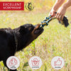 Dog Toys for Aggressive Chewers - Large Dog Toys - 3 Nearly Indestructible Chewing Ropes - Durable Heavy Duty Dental Chew Toys for Big Dogs - Dog Rope Chew Toys - Tug of War Dog Toy - Tough Dog Toys - BESTMASCOTA.COM