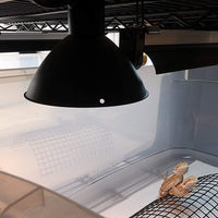 Halógenas Gu10 de reptil Cúpula Fixture con 54" AC Cord y Interruptor - BESTMASCOTA.COM