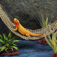 PIVBY - Hamaca con diseño de dragón, 100% fibra de hierba natural, para tobillos, libélulas, geckos, Iguanas y cangrejos de herradura - BESTMASCOTA.COM