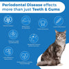 Oral Health for Cats Dental Treatment - Natural Stomatitis and Gingivitis Solution is Highly Effective for Feline Mouth Issues Including Tartar and Inflammed Gums - Easy to Use (450 pills) - BESTMASCOTA.COM