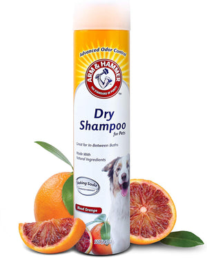 Arm & Hammer Aerosol Champú seco para Perros | Champú sin agua Spray para Perros y Cachorros - BESTMASCOTA.COM