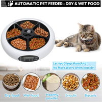 TDYNASTY Design - Alimentador automático para gatos, dispensador de alimentos para perros y gatos, alimentador para gatos hasta 5 comidas por día - BESTMASCOTA.COM