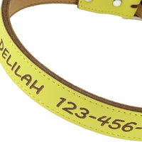 Collar para perros para personalizar - De piel suave grabado, tamaños extra pequeño, pequeño, mediano o grande, collar de identificación sin etiquetas o nombres bordados - BESTMASCOTA.COM