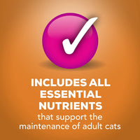 Purina Friskies Gravy Wet Cat Food Variedad Pack Extra Gravy Grueso - (24) latas de 5.5 onzas - BESTMASCOTA.COM