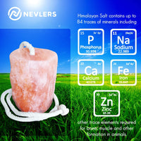 Nevlers 2 Pack All Natural Pure Himalayan Salt Licks for Animals - Great for Horses, Cows, Deer, and Other Livestock - Ropes Included - 4.5-6.5 lbs Each - BESTMASCOTA.COM