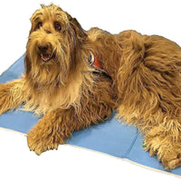 The Green Pet Shop almohadilla de enfriamiento para mascotas, esta colchoneta ayuda a prevenir sobrecalentamiento y deshidratación, enfría y calma a su perro, activado por presión,fórmula gel no tóxica. - BESTMASCOTA.COM