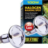 EXO TERRA Sun-Glo Luz Lámpara Halógena - BESTMASCOTA.COM