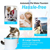 Fuente de agua para mascotas – Fuente de agua sana e higiénica de 2 L con flor súper silenciosa y 4 filtros de repuesto para perros, gatos, pájaros y animales pequeños - BESTMASCOTA.COM