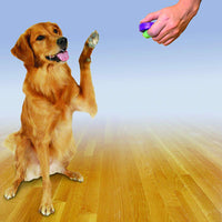Entrenador Click R de PetSafe - BESTMASCOTA.COM
