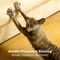Animales Favorite Cat Play Mat, tienda de campaña Centro de Actividad con colgar juguetes - BESTMASCOTA.COM