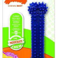 Nylabone Dental Chew Petit - BESTMASCOTA.COM