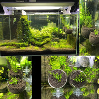 senzeal 2 x tazas de planta acuática de vidrio olla con 4 x ventosas para tanque de peces acuario Aquascape - BESTMASCOTA.COM