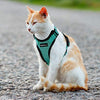 rabbitgoo - Arnés para gato para caminar, a prueba de escape, para gatos pequeños y medianos, arneses ajustables, arnés de malla suave para gatos pequeños, chaqueta de gato segura con tiras reflectantes y 1 anillo de metal - BESTMASCOTA.COM