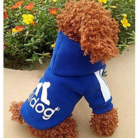 Atuendos deportivos para mascota, abrigos para perros y gatos para clima frío, sudaderas para perro, suéteres para mascota, de Moolecole - BESTMASCOTA.COM