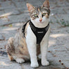 rabbitgoo - Arnés para gato para caminar, a prueba de escape, para gatos pequeños y medianos, arneses ajustables, arnés de malla suave para gatos pequeños, chaqueta de gato segura con tiras reflectantes y 1 anillo de metal - BESTMASCOTA.COM