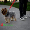 BWOGUE 2 paquetes de correas de seguridad para perros y gatos, para reposacabezas de coche, de nailon, ajustables, para perros, cinturones de seguridad, arnés - BESTMASCOTA.COM