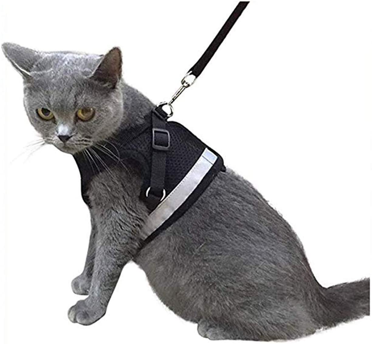 AWOOF Arnés y correa a prueba de escape, ajustable para gatos, cachorros y  gatos, chaqueta para caminar con correa de metal, suave y transpirable para  mascotas