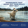 Natural Balance L.I.D. Alimento seco para perros con ingredientes limitados, libre de granos - BESTMASCOTA.COM