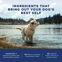 Natural Balance L.I.D. Alimento seco para perros con ingredientes limitados, libre de granos - BESTMASCOTA.COM