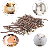 8.82 oz y 17.64 oz Natural Manzana Palitos Pequeños Animales Molar Wood Treats Juguetes Chinchilla Guinea Pig Hámster Conejo Gerbil Loro Conejo Conejo y Animales Pequeños Juguetes Masticables Juguetes - BESTMASCOTA.COM