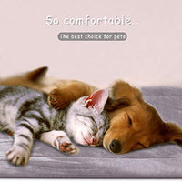 JoicyCo - Cama para perro, almohadilla 35/42/47 en camas lavables, colchón suave para perro, almohadillas antideslizantes para perrera, color de lujo - BESTMASCOTA.COM