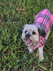 MIGOHI Dog Jackets for Winter Windproof Waterproof Reversible Dog Coat for Cold Weather British Style Plaid Warm Dog Vest for Small Medium Large Dogs - BESTMASCOTA.COM