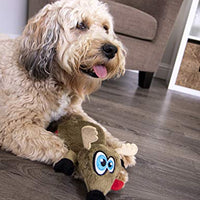 Oye Doggy Flattie juguetes ultrasónicos para perros - BESTMASCOTA.COM