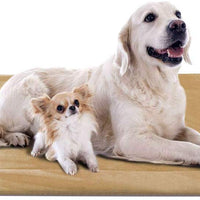 JoicyCo - Cama para perro, almohadilla 35/42/47 en camas lavables, colchón suave para perro, almohadillas antideslizantes para perrera, color de lujo - BESTMASCOTA.COM
