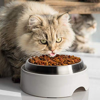 CatGuru - Recipiente para comida de gato, sin estrés, para aliviar la fatiga, plato ancho para gatos, cuencos antideslizantes para alimentar gatos, cuencos de comida para gatos poco profundos, cuencos antideslizantes para gatos - BESTMASCOTA.COM