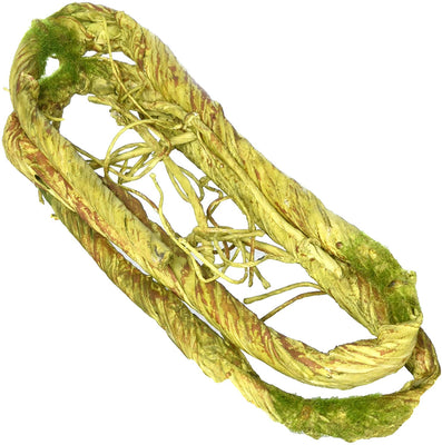 Penn Plax Climbing Vine Decoración de Hábitat de reptiles Bendable 5 ft en longitud, verde - BESTMASCOTA.COM