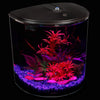 Set de acuario API Aquaview 180 con iluminación LED y filtro interior, 3.5 galones - BESTMASCOTA.COM