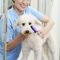 Pincel de cerdas por hertzko – para perros y gatos con larga o de pelo corto – densa cerdas quitar el vello Loose, dander, polvo y suciedad de su Mascota de parte superior Coat - BESTMASCOTA.COM