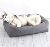 BarkBox - Cama de espuma viscoelástica para perro, alivio de articulaciones ortopédicas de felpa, 2 – 1 caja o cama de almohada, lavable a máquina + funda extraíble; forro impermeable, incluye juguete chirriador - BESTMASCOTA.COM