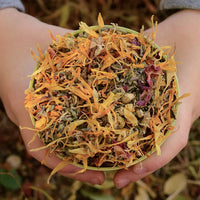 Farm Party - Herbal Hootenanny Nesting Herbs for Chickens (8 Ounces) Keeps Chicken Nesting Boxes Smelling Fresh Using Our All Natural Nesting Box Blend While Keeping Pests Away from the Chicken Coop - BESTMASCOTA.COM